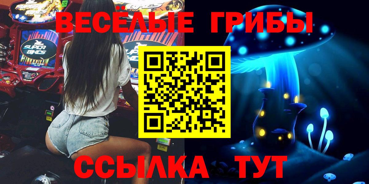как найти   Псилоцибиновые грибы Psilocybine cubensis  Вход с VPN  Коркино 